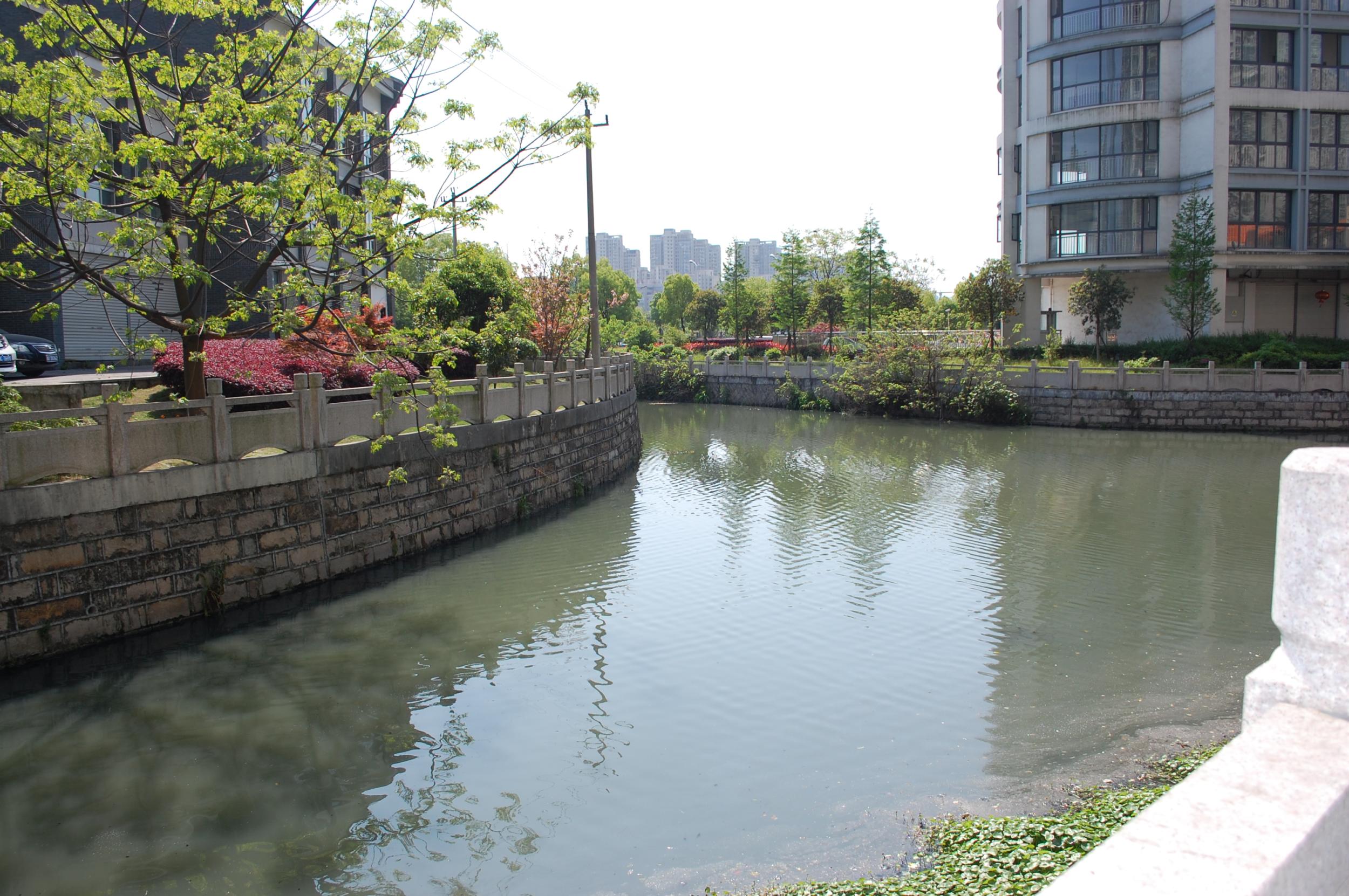 水體,自淨過程,水質91抖音下载入口